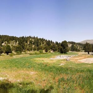 Qammouaa Kammouaa Poster - Image 1