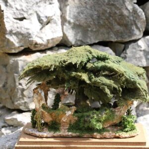 Sculpture Miniature Bonsai Cedar Tree - Image 9