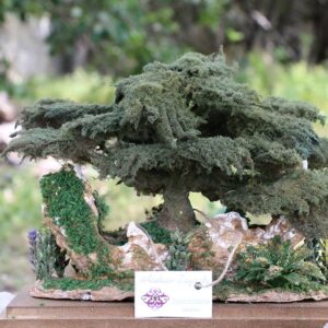 Sculpture Miniature Bonsai Cedar Tree - Image 13