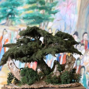 Sculpture Miniature Bonsai Cedar Tree - Image 14
