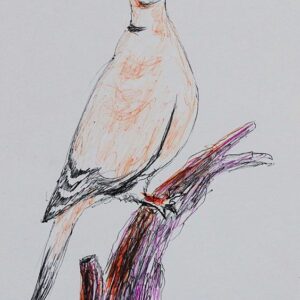 Art drawings of Birds of Lebanon - Image 8