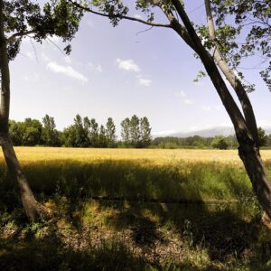 Bekaa Valley in Taanayel - Image 1