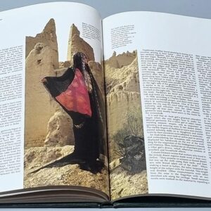 The Art of Arabian Costume - Image 3