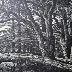 Album - Romantic Lebanon - Image 9