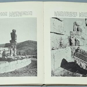 The Roman Temples of Lebanon - Image 3