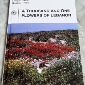 Thousand and One Flowers of Lebanon - Image 1
