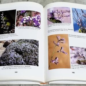 Thousand and One Flowers of Lebanon - Image 2