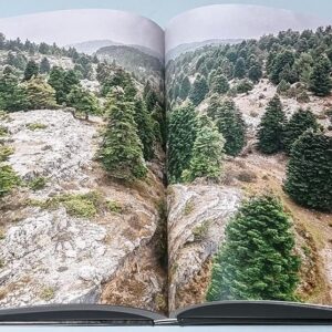 Two Wheels Across Lebanon - Image 2