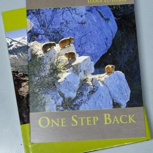 A Million Steps - Discovering the Lebanon Mountain Trail - Image 3