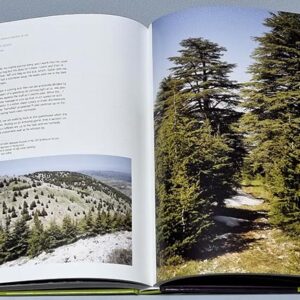 A Million Steps - Discovering the Lebanon Mountain Trail - Image 6