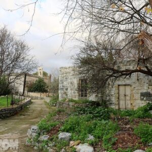 Poster of a path in Amchit - Image 1