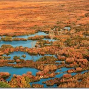 Album - Lebanon: Box of Moments - Image 21