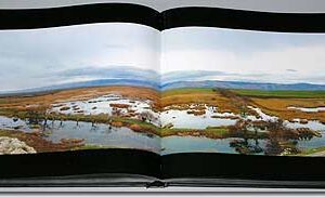 For Lebanon, forever and ever. Lebanon, Memories of a moment - Image 17