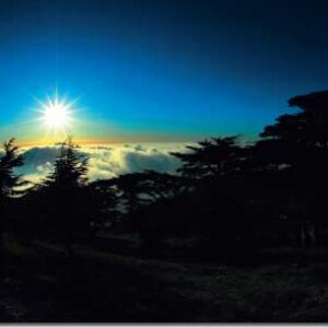 Album - Lebanon: Box of Moments - Image 22