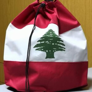 Beach backpacks - Image 2