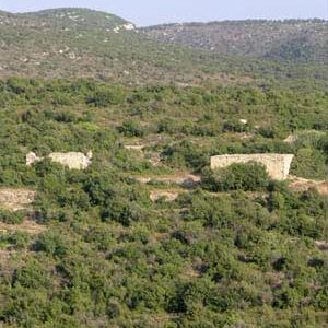 Natural Thyme Zaatar - Image 3