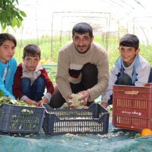Neroli - Bitter-Orange Flower Water - Image 9