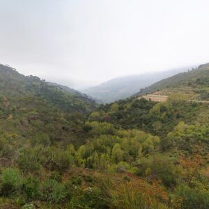 Bkassine poster - Image 1