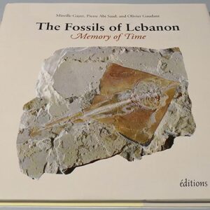 Book - Fossils of Lebanon - Image 1