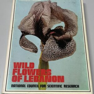 Wildflowers of Lebanon - Image 1