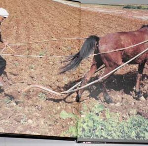 Book Expressions - تعابير - Image 9