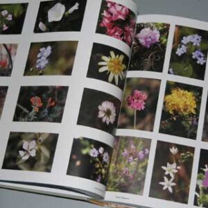 Book - Made in Lebanon - Fait au Liban - Image 5