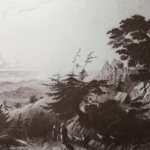 Postcards old Lebanon - Image 3