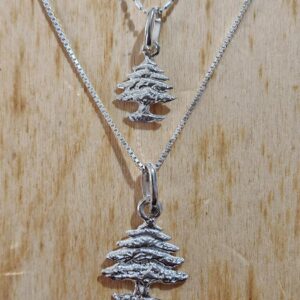 Neck circle Silver cedar jewel pendant