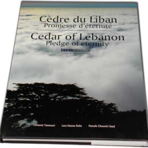 Cèdre du Liban - Cedar of Lebanon - Pledge of eternity - Image 1