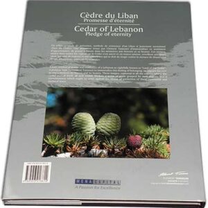Cèdre du Liban - Cedar of Lebanon - Pledge of eternity - Image 2
