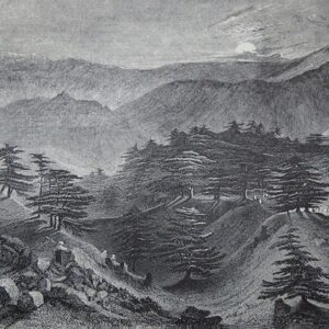 Reproductions of lithographs lithography - Image 3