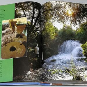 الشيف رمزي - Image 8