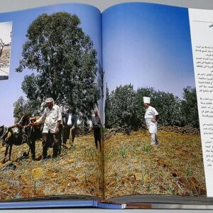 الشيف رمزي - Image 9