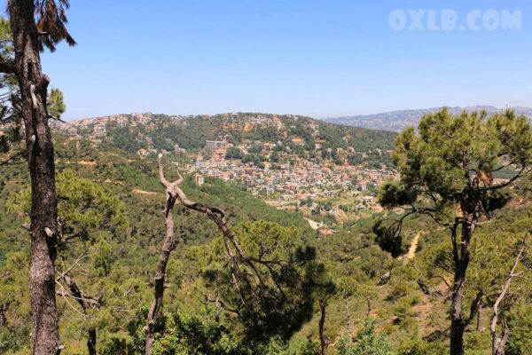 Printed photo poster of Choueir village 2021