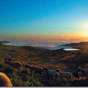 Album - Lebanon: Box of Moments - Image 3