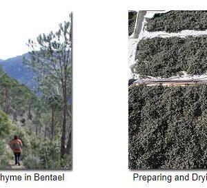 Natural Thyme Zaatar - Image 5