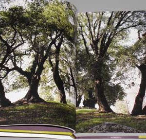 A Million Steps - Discovering the Lebanon Mountain Trail - Image 14