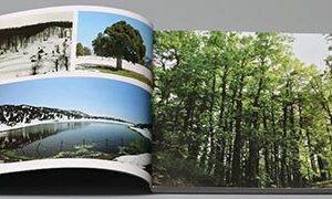 10452 by Rima Hage - Image 3