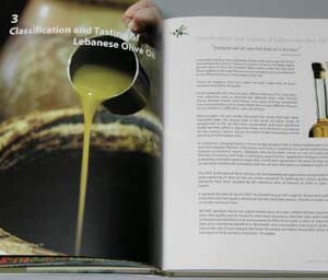 Green Gold – The Story of Lebanese Olive Oil - Image 10