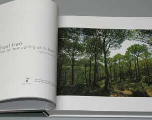 Book Green Lebanon - Lara Hanna Debs Edition al Nahar - Image 5
