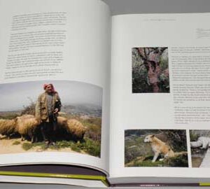 A Million Steps - Discovering the Lebanon Mountain Trail - Image 13