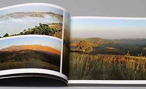 10452 by Rima Hage - Image 4