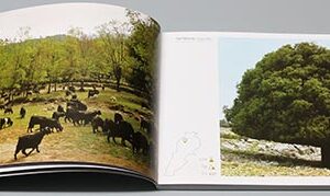 10452 by Rima Hage - Image 5