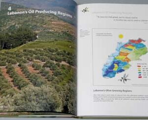 Green Gold – The Story of Lebanese Olive Oil - Image 8
