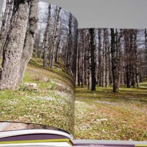 A Million Steps - Discovering the Lebanon Mountain Trail - Image 11