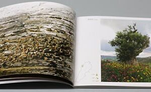 10452 by Rima Hage - Image 6