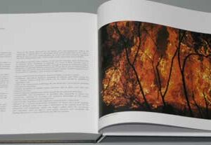 Book Green Lebanon - Lara Hanna Debs Edition al Nahar - Image 2