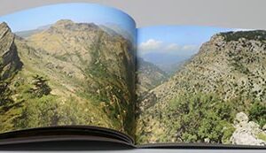 10452 by Rima Hage - Image 8