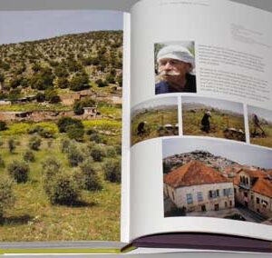 A Million Steps - Discovering the Lebanon Mountain Trail - Image 7