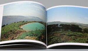 10452 by Rima Hage - Image 10